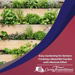 Easy Gardening for Seniors: Creating a Beautiful Garden with Minimal Effort