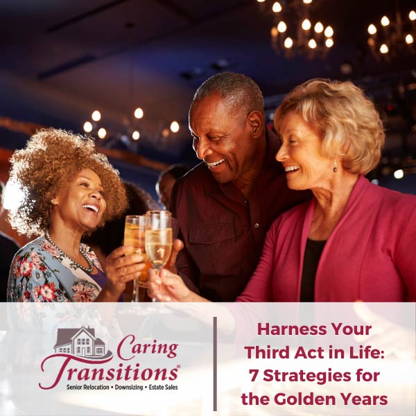 Harness Your Third Act in Life: 7 Strategies for the Golden Years ...