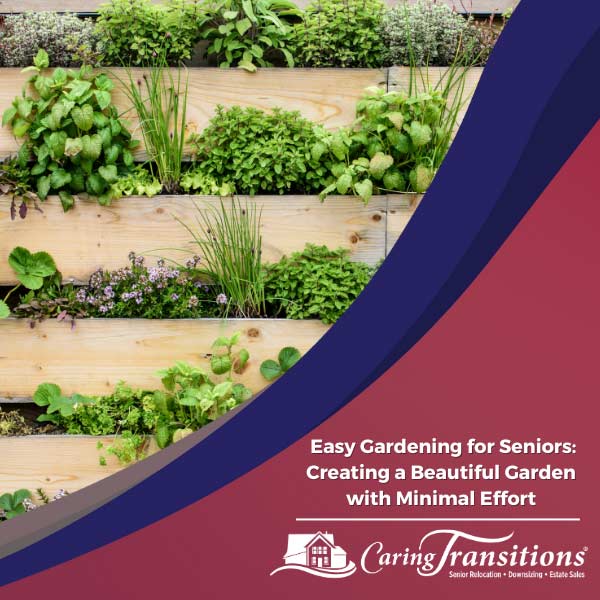 Easy Gardening for Seniors Creating a Beautiful Garden with Minimal
